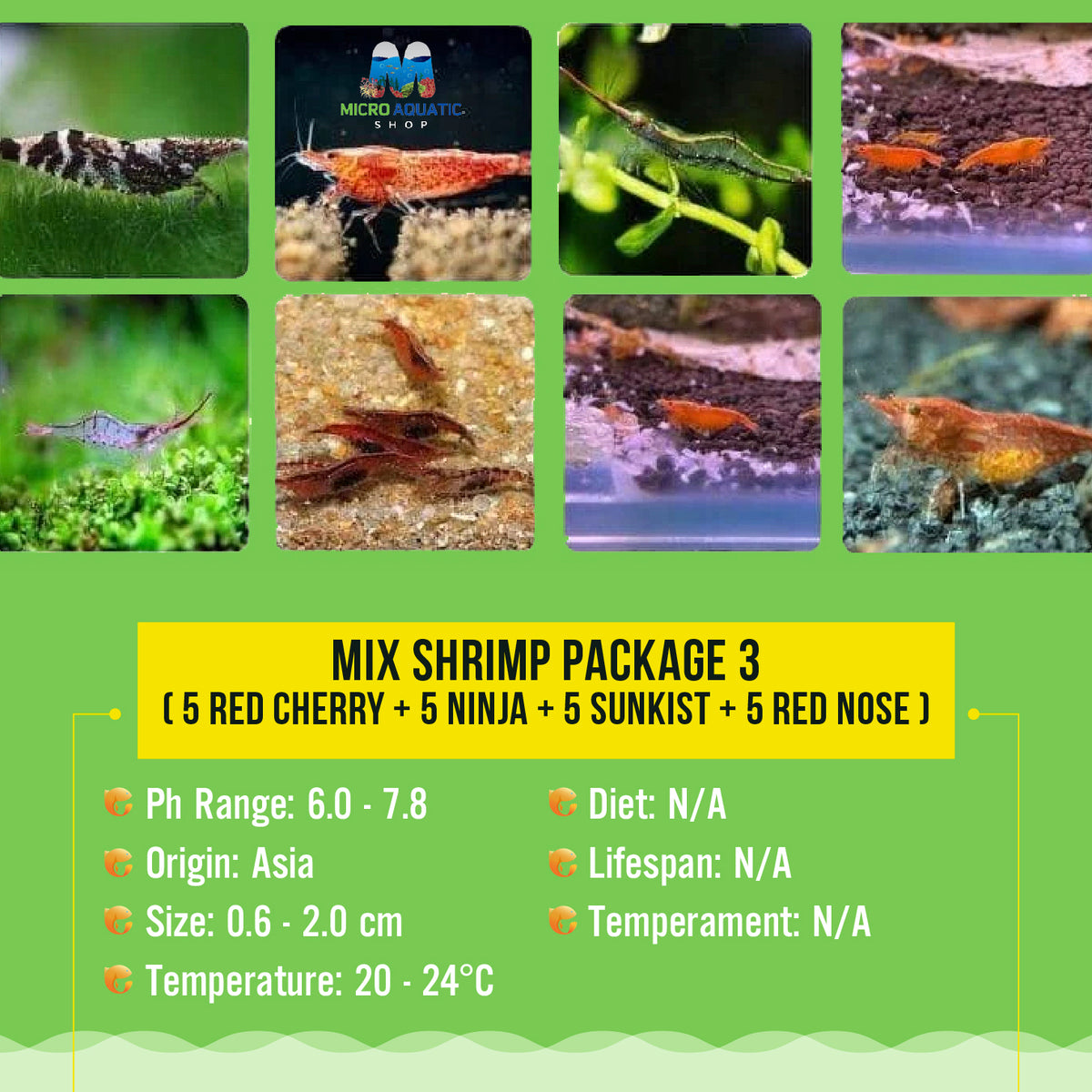 Mix Shrimp Package 3 ( 5 red cherry + 5 ninja + 5 sunkist + 5 red nose )