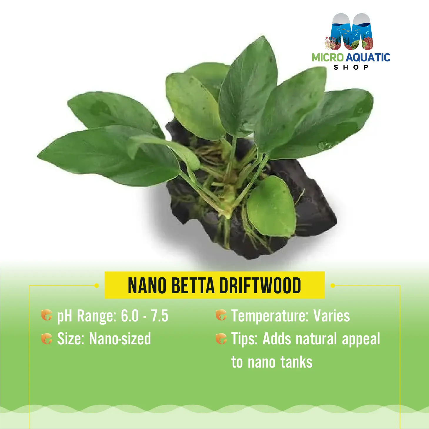 Nano Betta Driftwood Micro Aquatic Shop