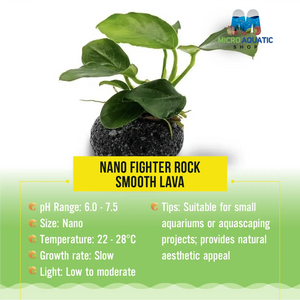 Nano Fighter Rock - Smooth Lava Micro Aquatic Shop