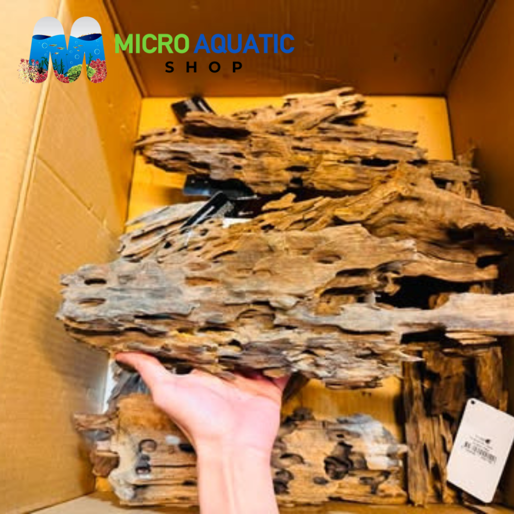 Honeycomb driftwood 33-38cm