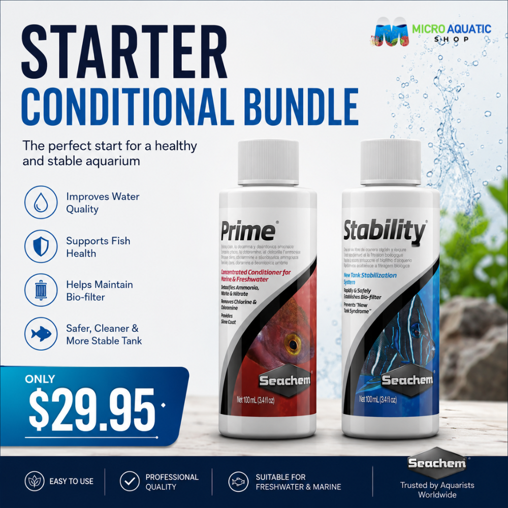 Starter Conditioner Bundle