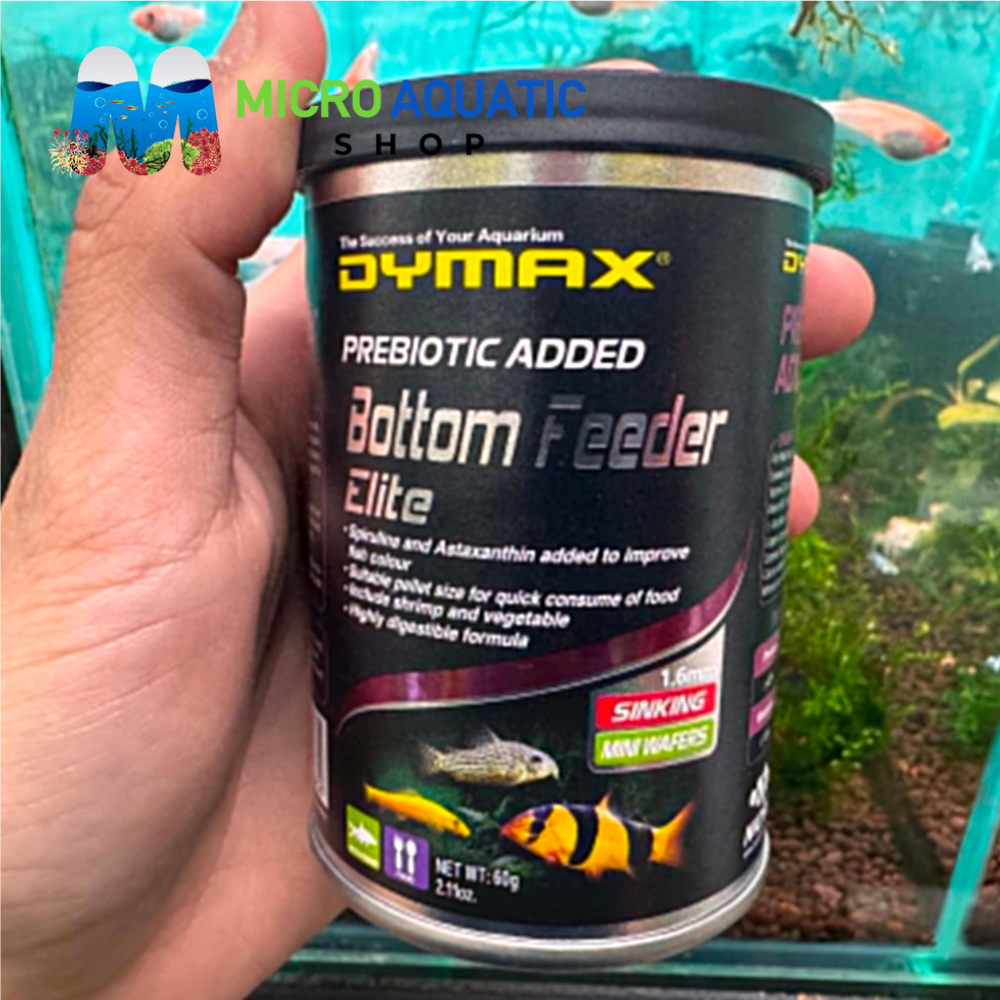 Dymax Bottom Feeder Elite 60G Sinking Mini Wafer (1.6mm)