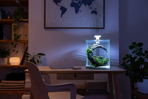 AQUAEL Shrimp Day & Night Set 10L (20x20x25cm) Aqua Premium