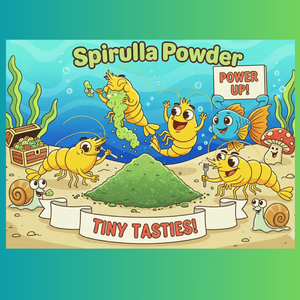 Spirulina Powder - Fry / Shrimplet Food Micro Aquatic Shop