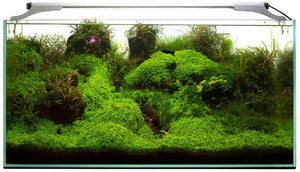 Aquael Leddy Slim LED Light Bar Sunny 20-30cm