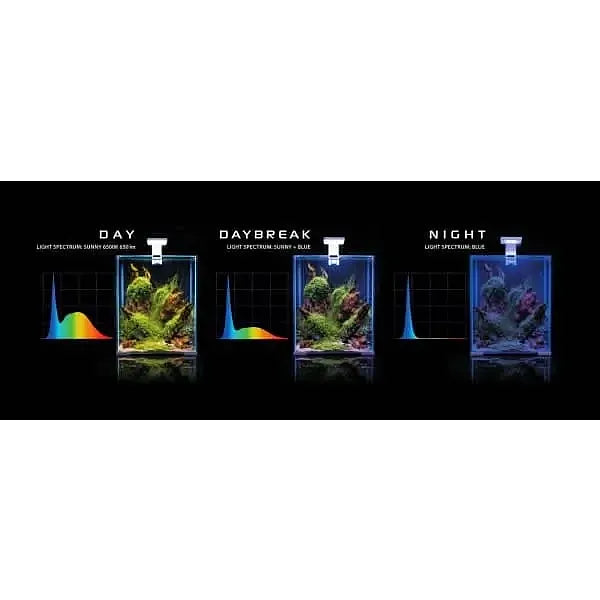 AQUAEL SHRIMP DAY & NIGHT TANKS