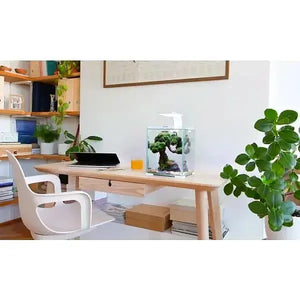 AQUAEL SHRIMP DAY & NIGHT TANKS