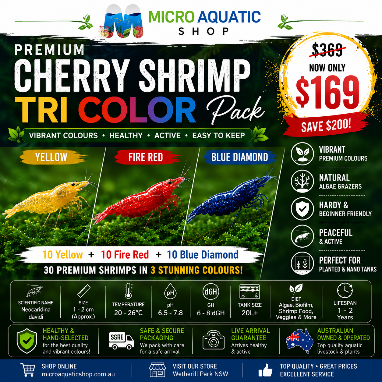 Premium Cherry Shrimp Tri Color Pack - 30 Shrimps (Yellow/ Fire Red/Blue Diamond) Micro Aquatic Shop