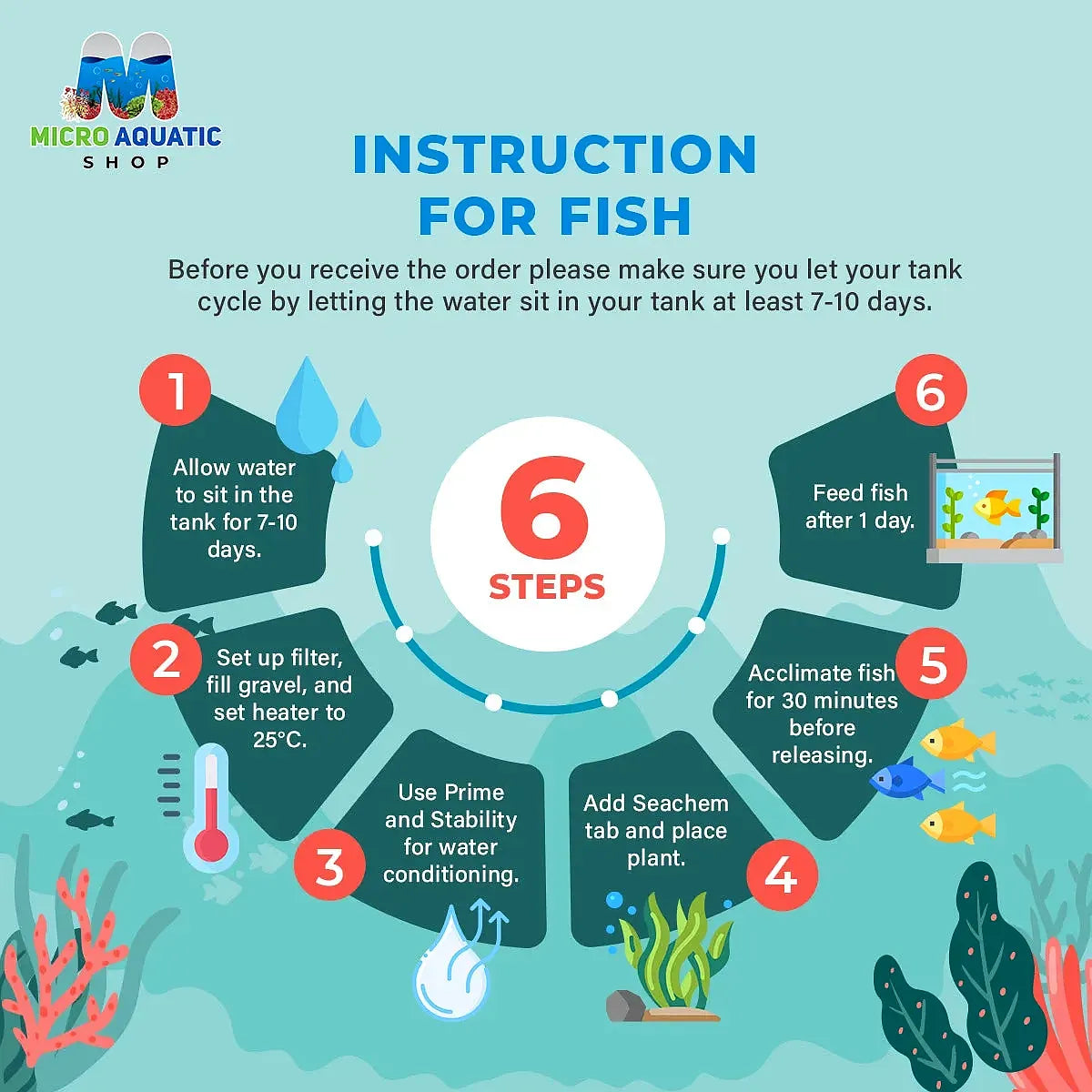 LITTLE WAVES COMBO: FOR NEWBIE FISH LOVER