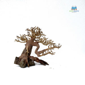 Masterpiece Bonsai Driftwood ~ 15 x 20 cm | A - 26