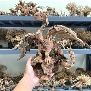 Dragon Driftwood Arts -  Unique Dragon Bonsai Driftwood