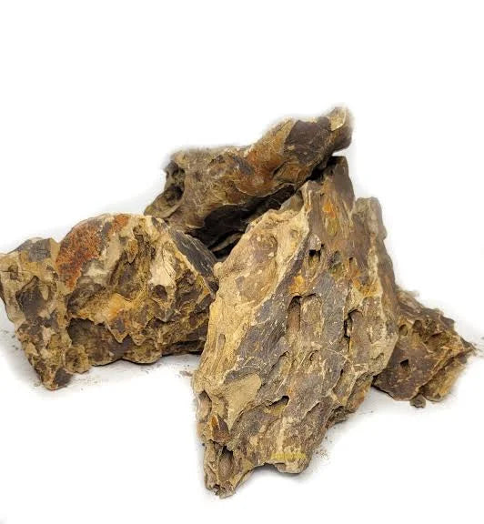 Dragon Stone