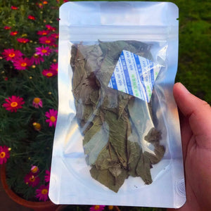Dried Guava Leaves for Fishes and Shrimps