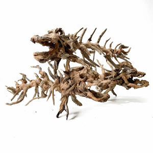 Driftwood Arts - Prehistoric Fish