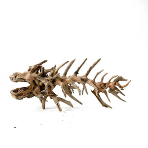 Driftwood Arts - Prehistoric Fish