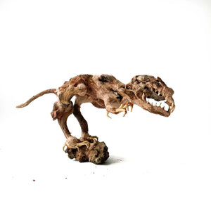 Driftwood Arts - Prehistoric T Rex