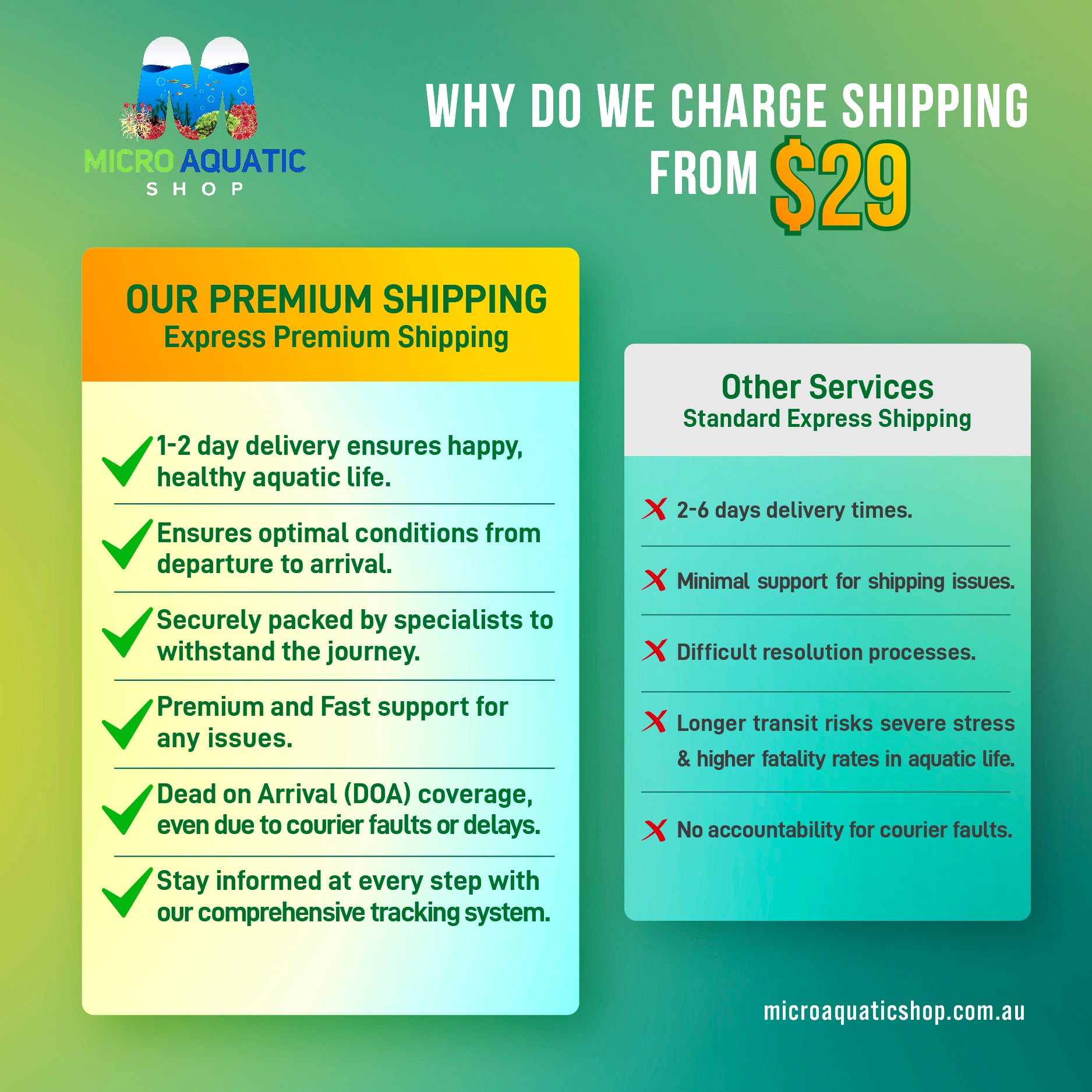 Platies – Multicolor 3cm