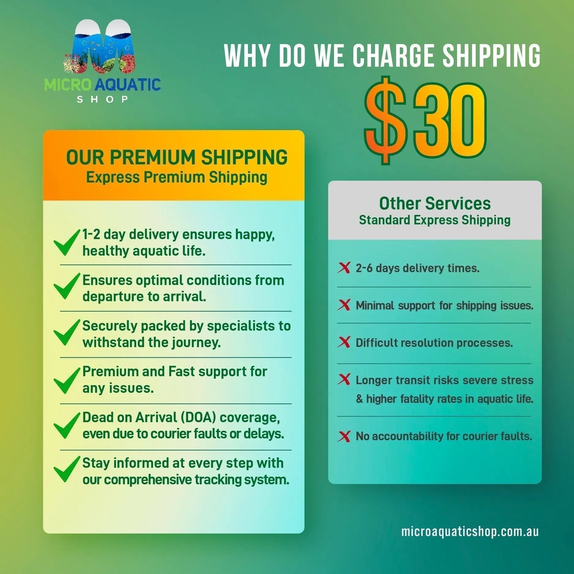 Deep Blue -Blue Bolts Shrimps Micro Aquatic Shop