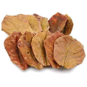 INDIAN ALMOND LEAVES /CATAPPA LEAVES / KETAPANG LEAVES