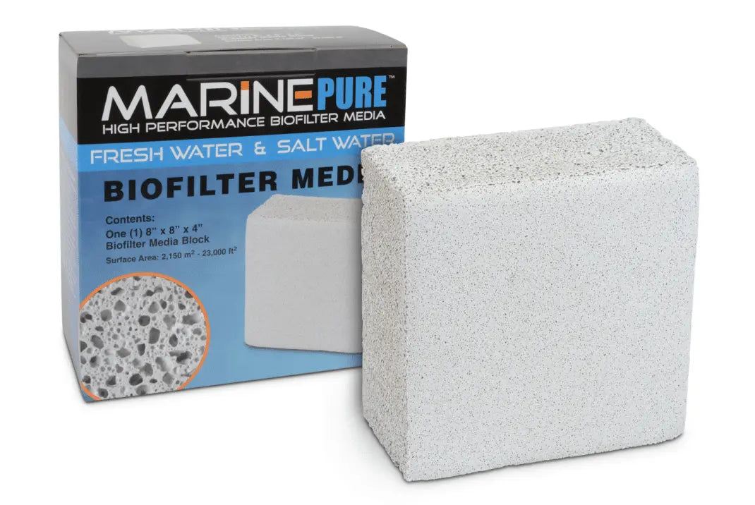 MarinePure Block 8x8x4" Micro Aquatic Shop