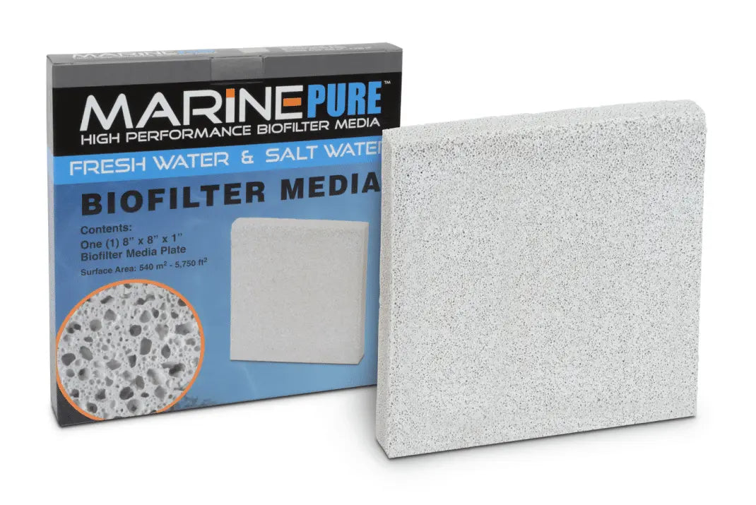 MarinePure Plate 8x8x1" Micro Aquatic Shop