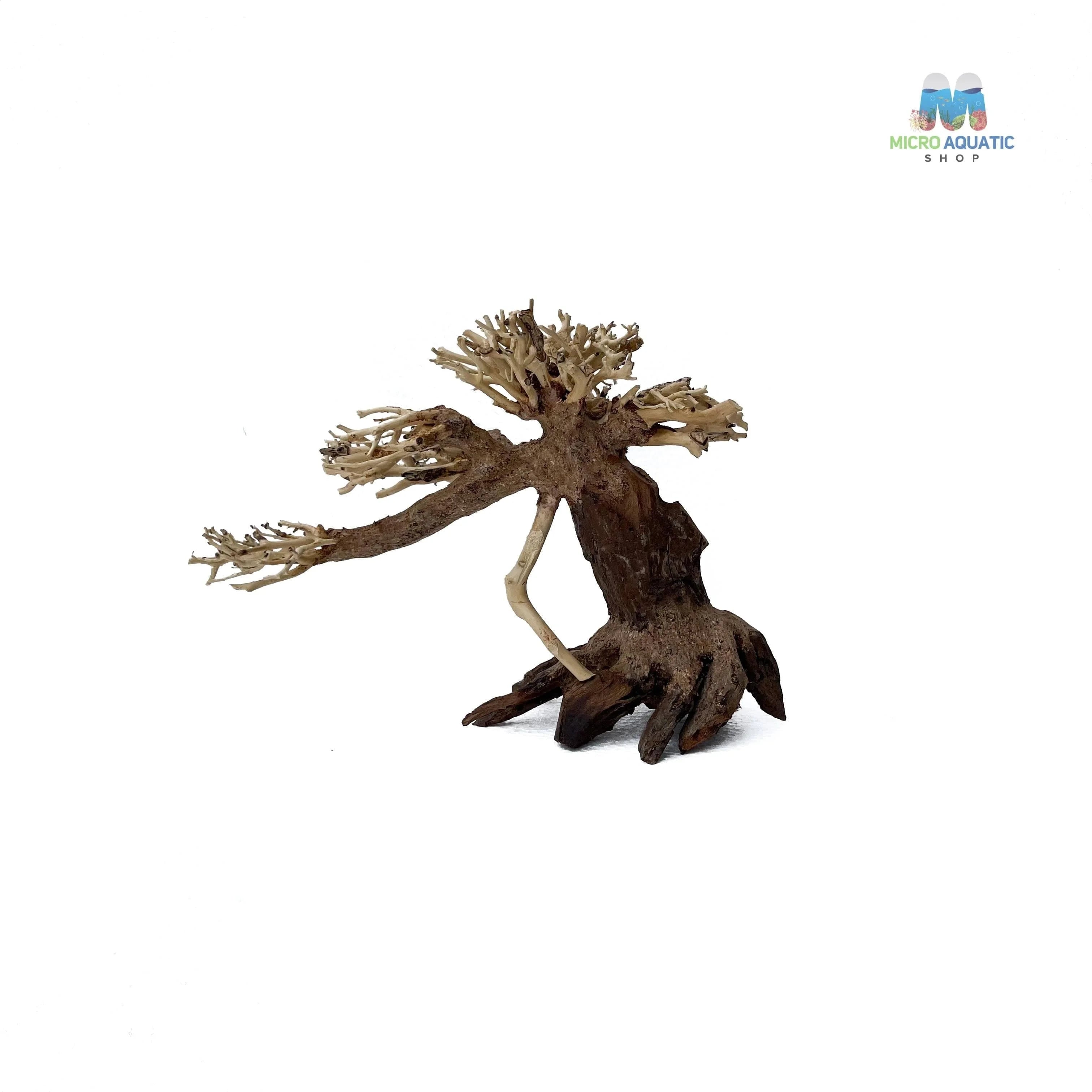 Masterpiece Bonsai Driftwood ~ 15 x 20 cm | A - 01