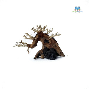 Masterpiece Bonsai Driftwood ~ 15 x 20 cm | A - 03