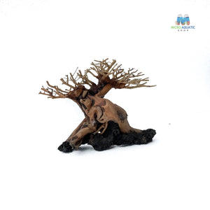 Masterpiece Bonsai Driftwood ~ 15 x 20 cm | A - 04