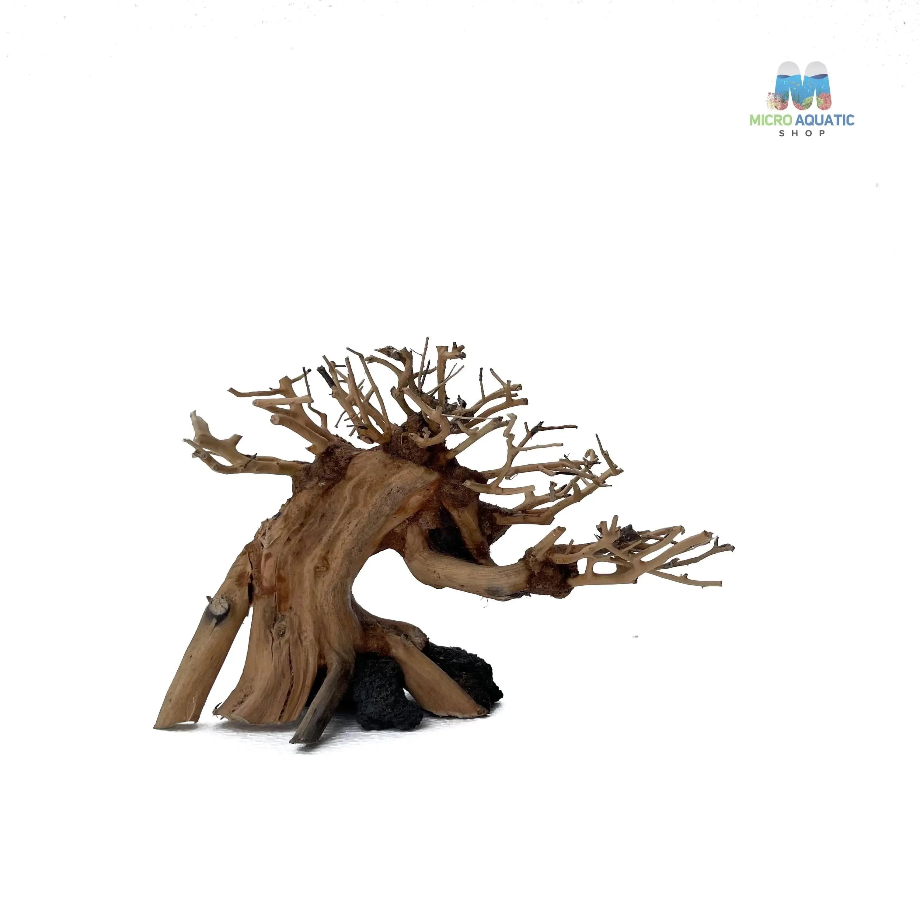 Masterpiece Bonsai Driftwood ~ 15 x 20 cm | A - 05