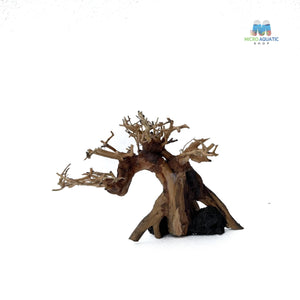 Masterpiece Bonsai Driftwood ~ 15 x 20 cm | A - 06