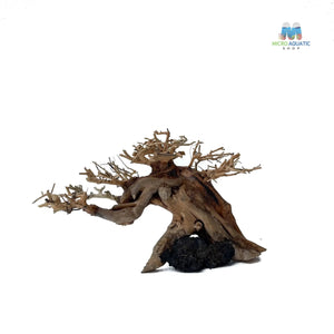 Masterpiece Bonsai Driftwood ~ 15 x 20 cm | A - 07