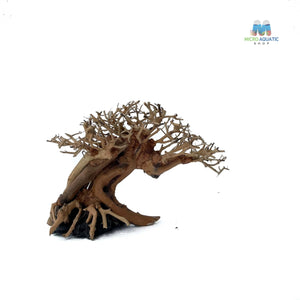 Masterpiece Bonsai Driftwood ~ 15 x 20 cm | A - 09