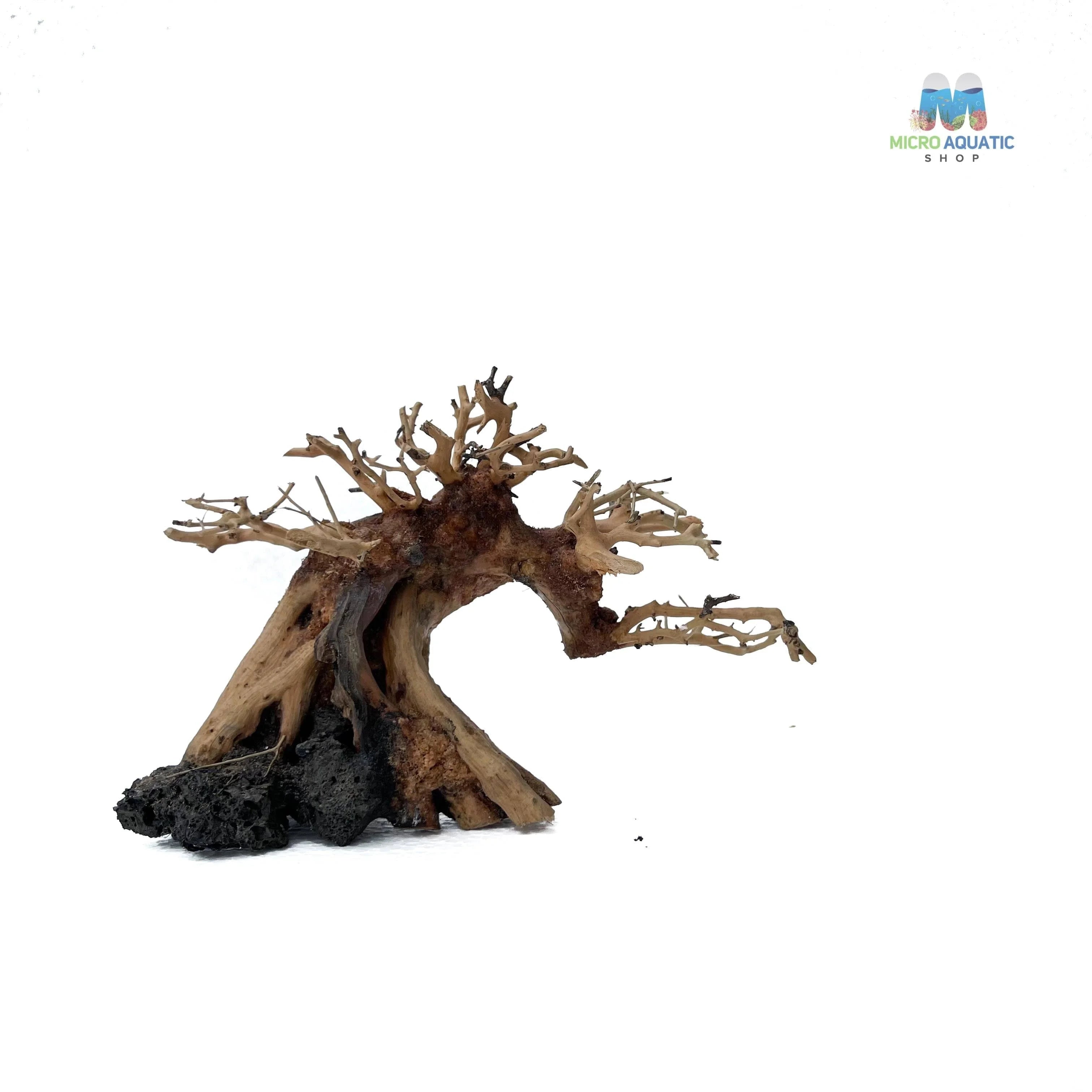 Masterpiece Bonsai Driftwood ~ 15 x 20 cm | A - 10
