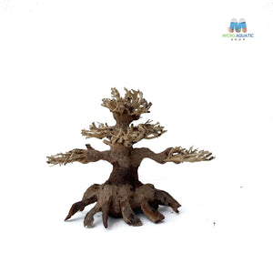 Masterpiece Bonsai Driftwood ~ 15 x 20 cm | A - 12