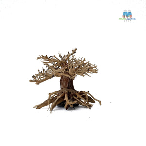 Masterpiece Bonsai Driftwood ~ 15 x 20 cm | A - 13