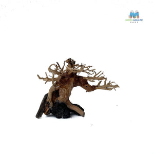 Masterpiece Bonsai Driftwood ~ 15 x 20 cm | A - 15