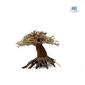 Masterpiece Bonsai Driftwood ~ 15 x 20 cm | A - 21
