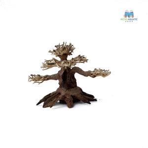Masterpiece Bonsai Driftwood ~ 15 x 20 cm | A - 24