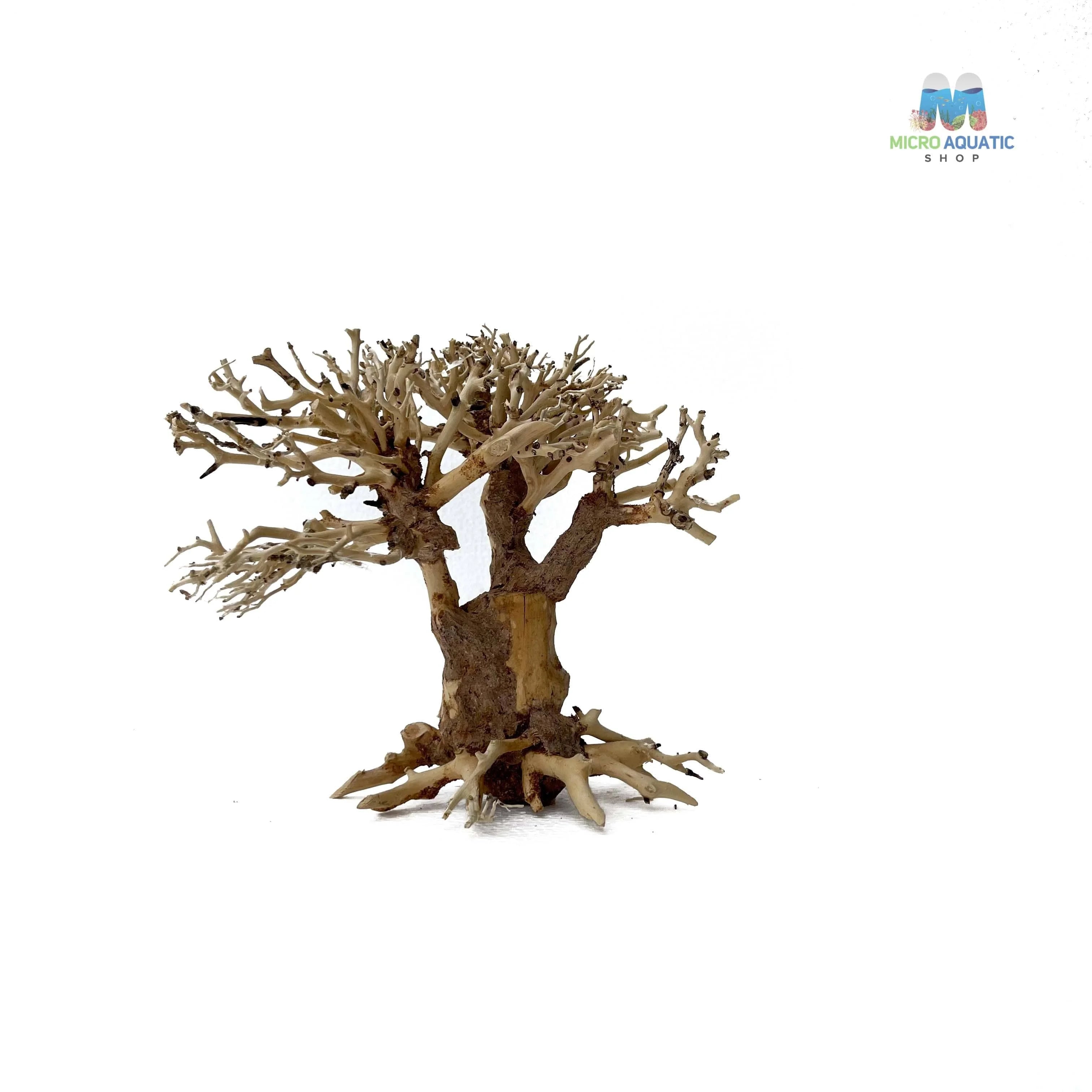 Masterpiece Bonsai Driftwood ~ 15 x 20 cm | A - 25