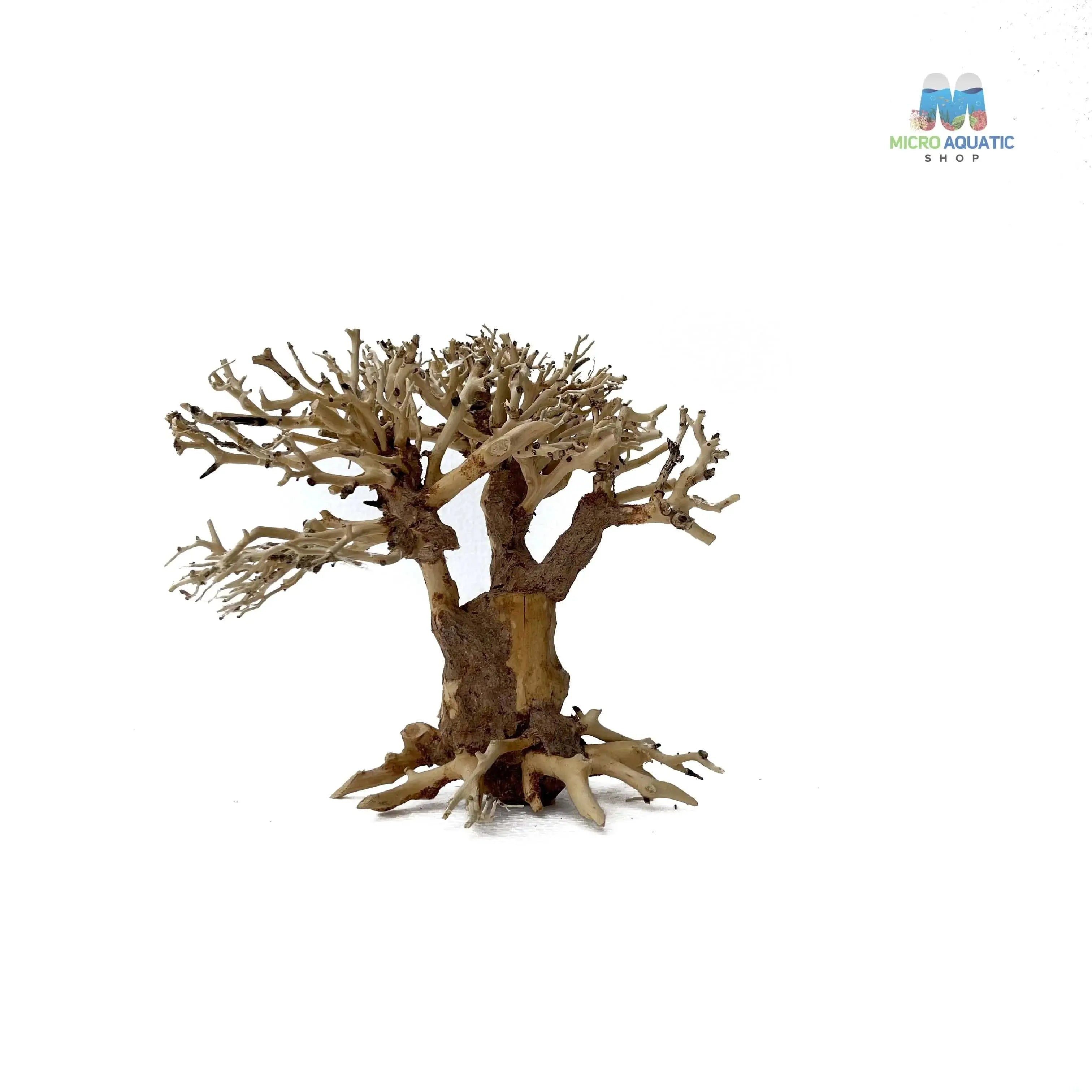Masterpiece Bonsai Driftwood ~ 15 x 20 cm | A - 25