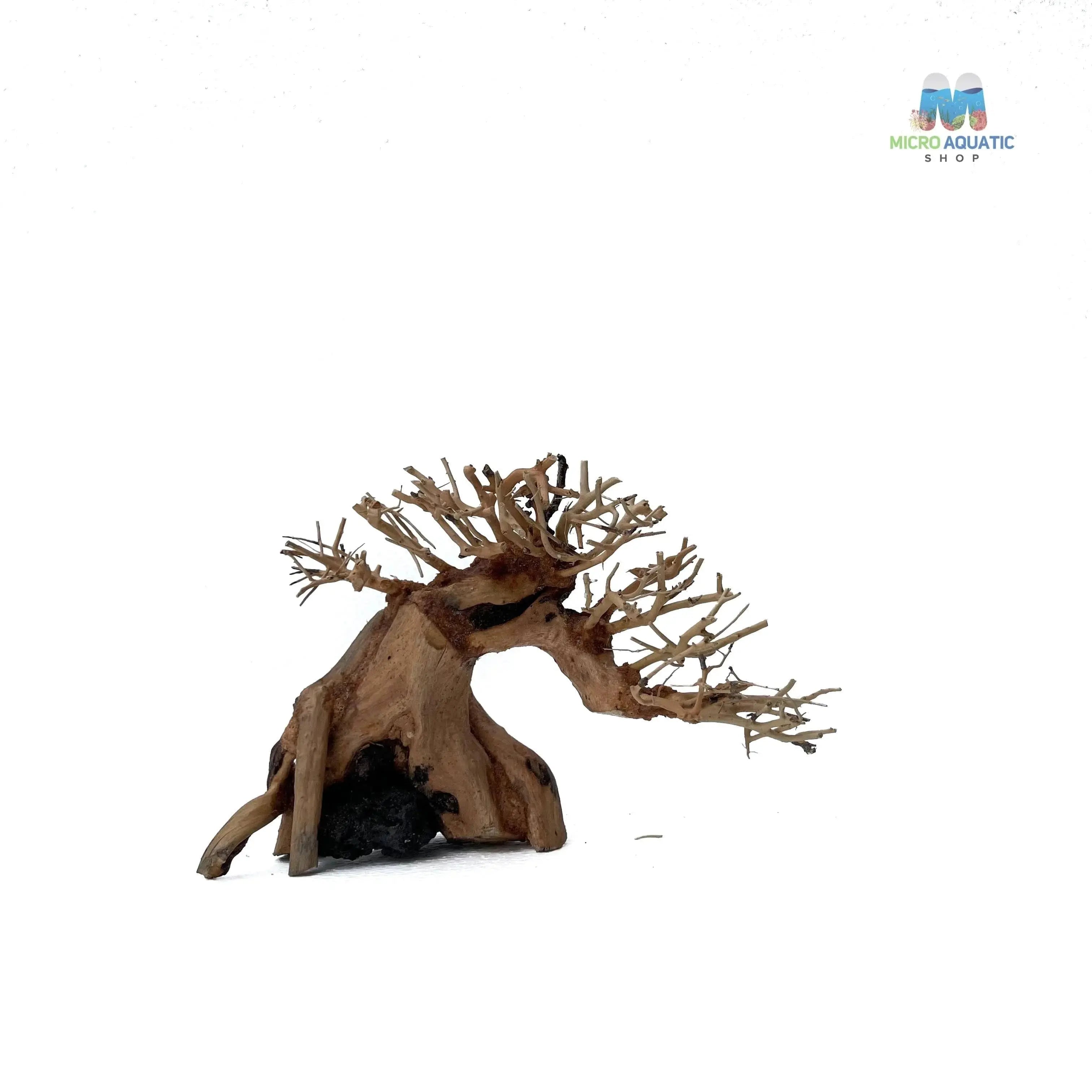 Masterpiece Bonsai Driftwood ~ 15 x 20 cm | A - 30