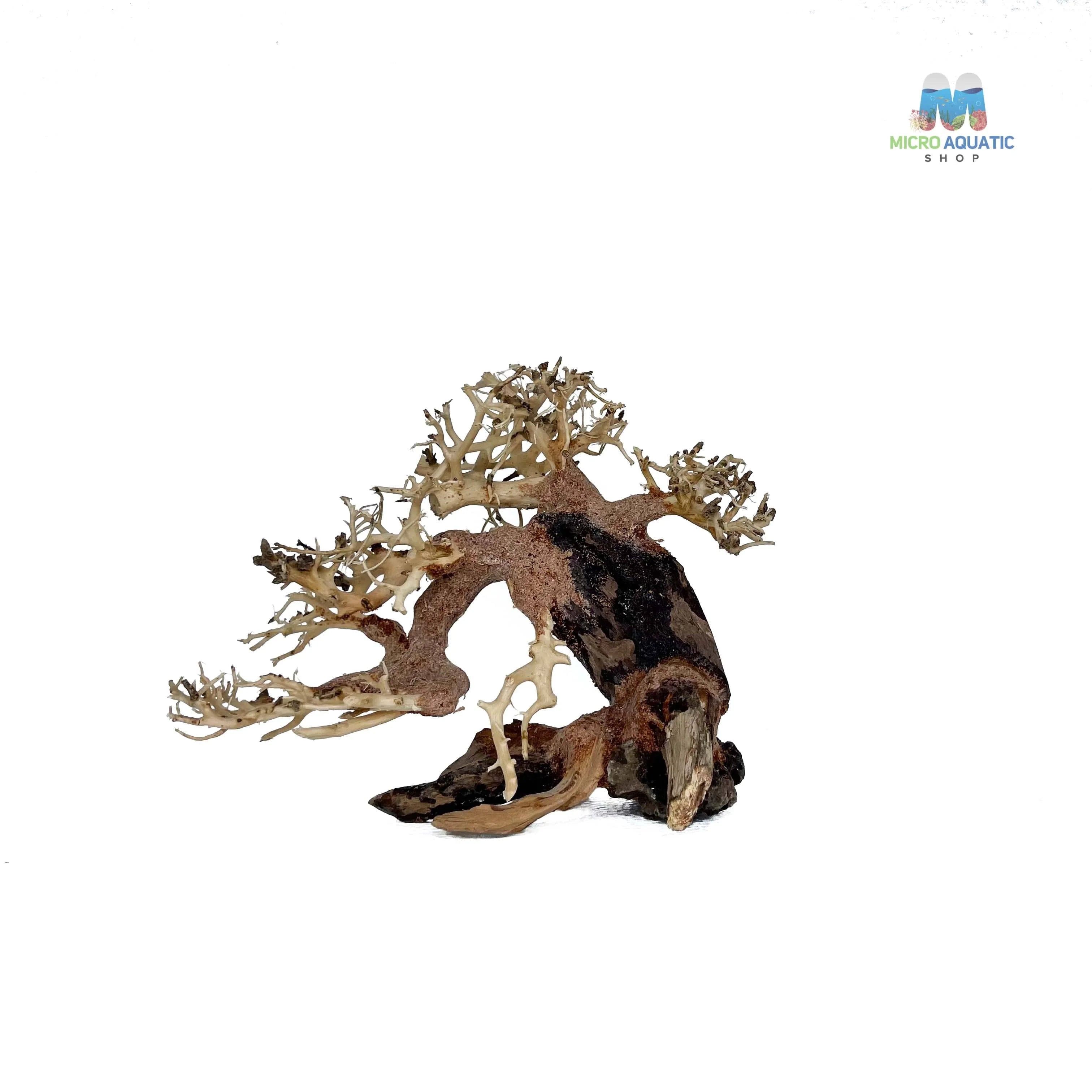 Masterpiece Bonsai Driftwood ~ 15 x 20 cm | A - 32