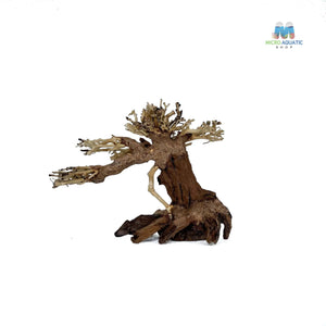 Masterpiece Bonsai Driftwood ~ 15 x 20 cm | A - 33