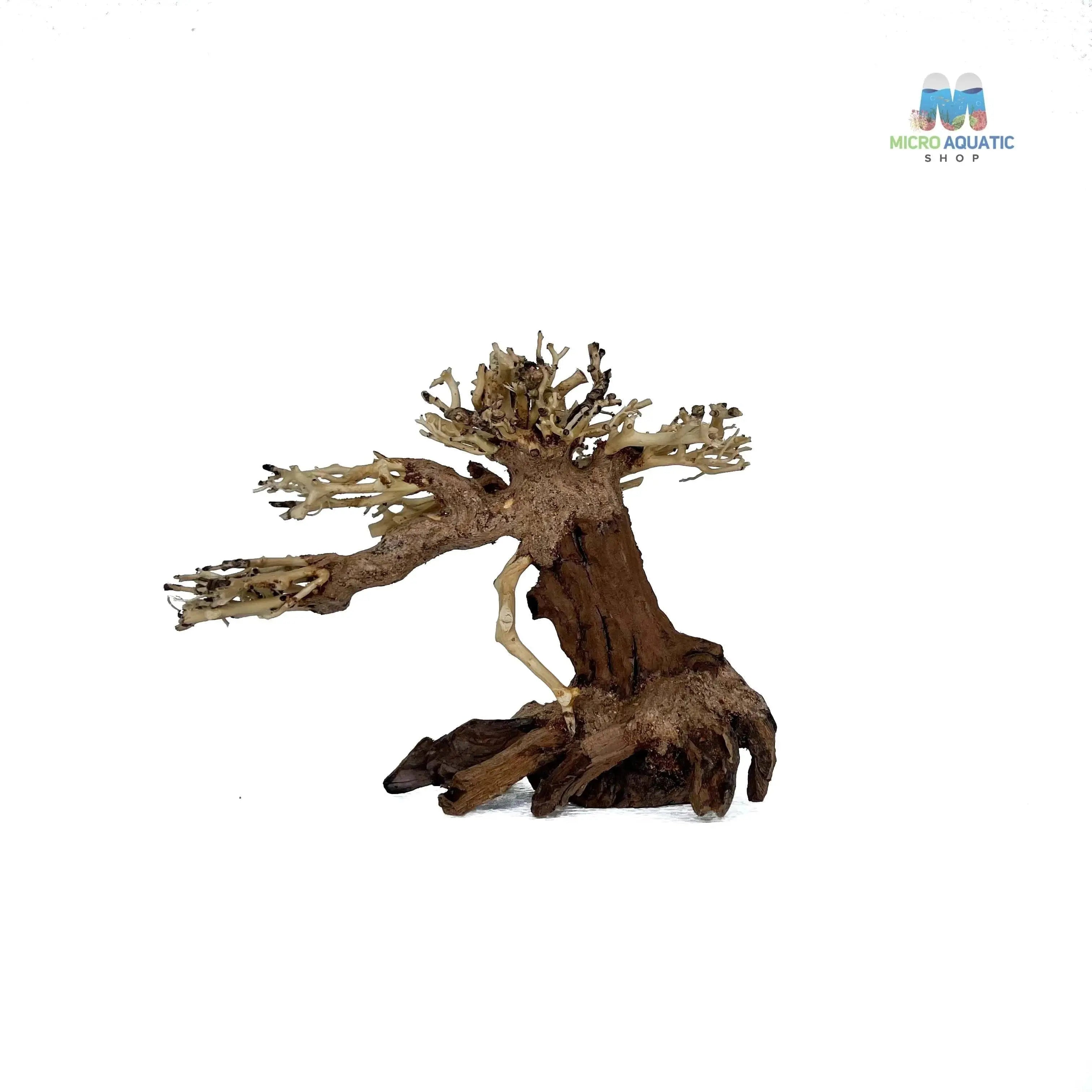 Masterpiece Bonsai Driftwood ~ 15 x 20 cm | A - 33