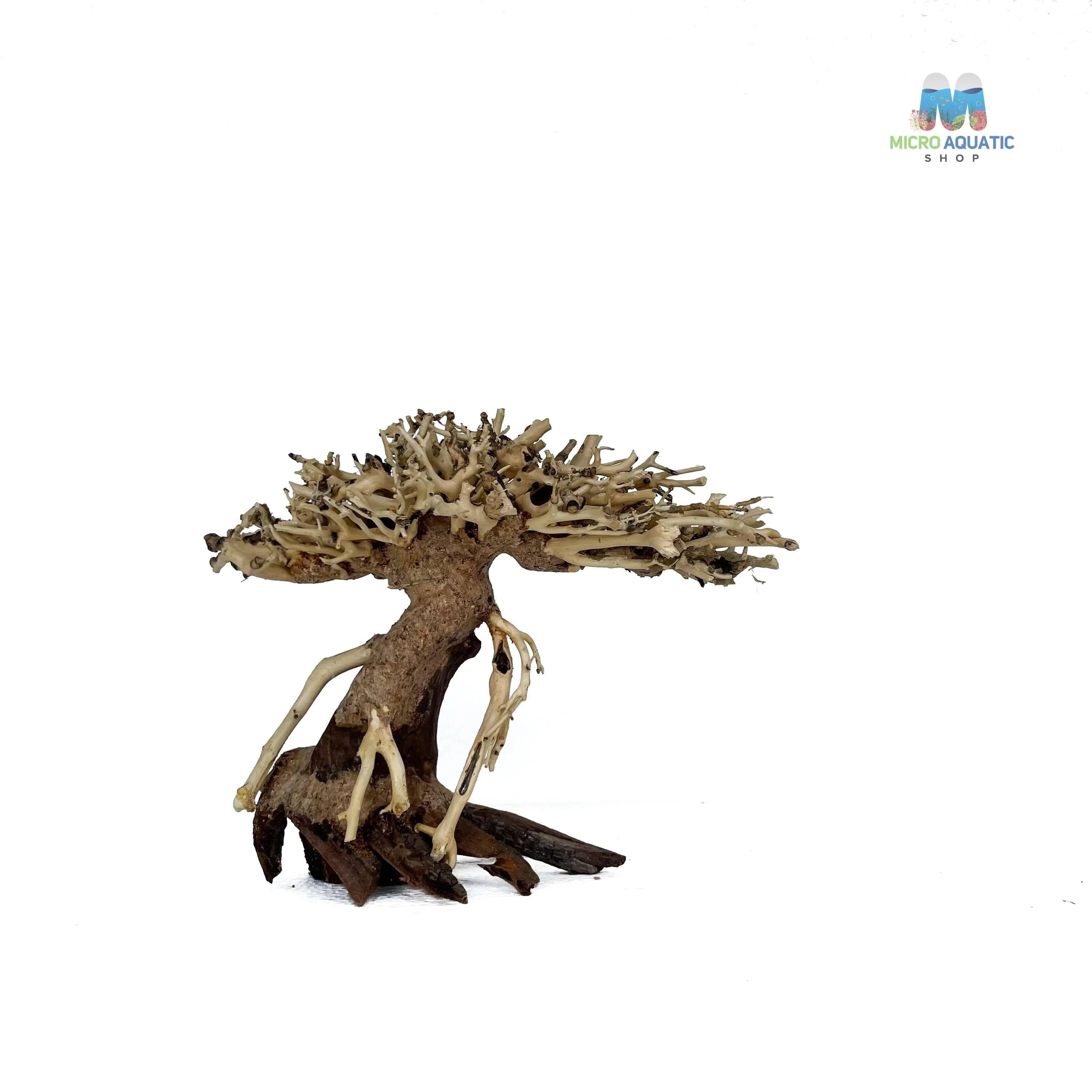 Masterpiece Bonsai Driftwood ~ 15 x 20 cm | A - 37