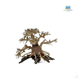 Masterpiece Bonsai Driftwood ~ 15 x 20 cm | A - 38