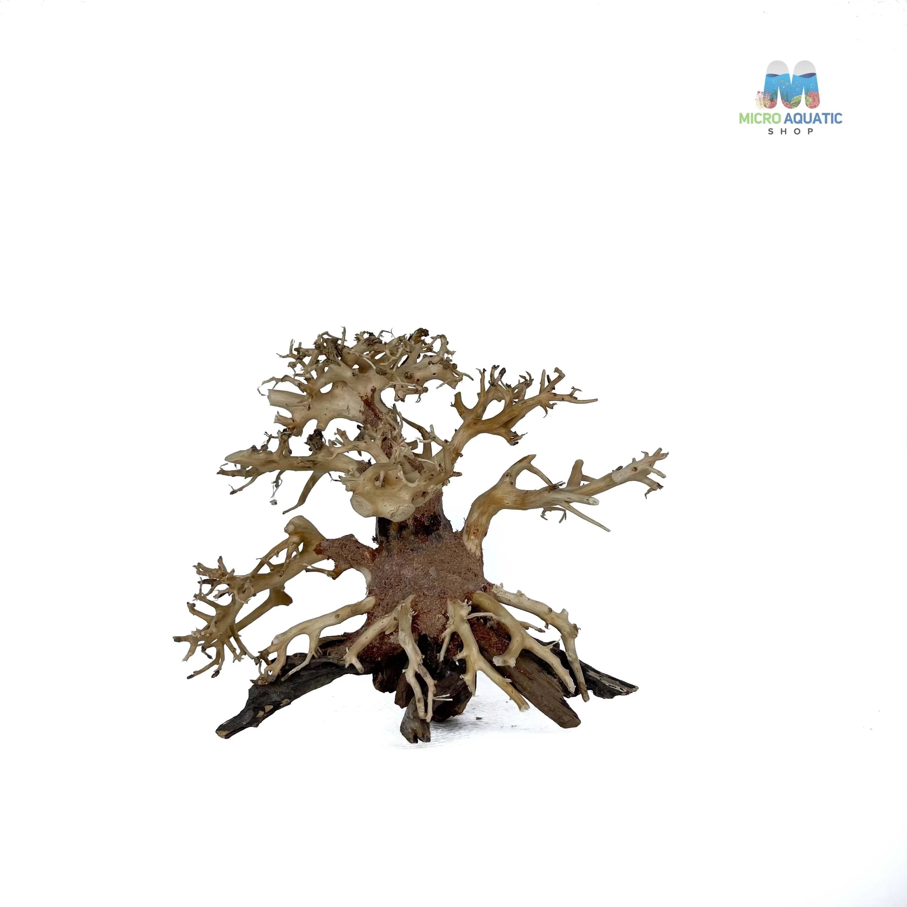 Masterpiece Bonsai Driftwood ~ 15 x 20 cm | A - 38