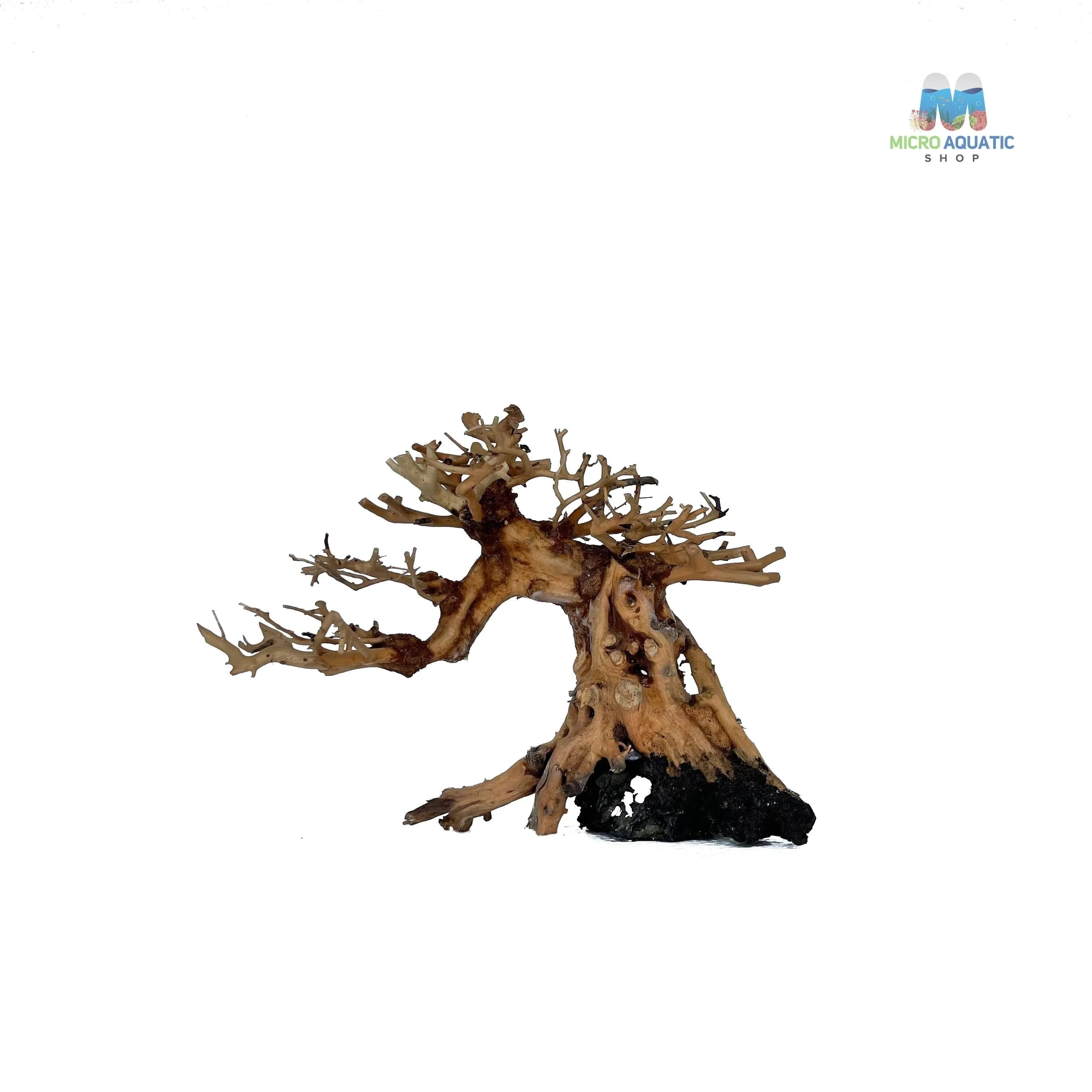 Masterpiece Bonsai Driftwood ~ 15 x 20 cm | A - 40