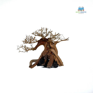 Masterpiece Bonsai Driftwood ~ 15 x 20 cm | A - 41