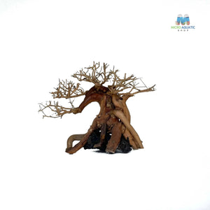 Masterpiece Bonsai Driftwood ~ 15 x 20 cm | A - 41